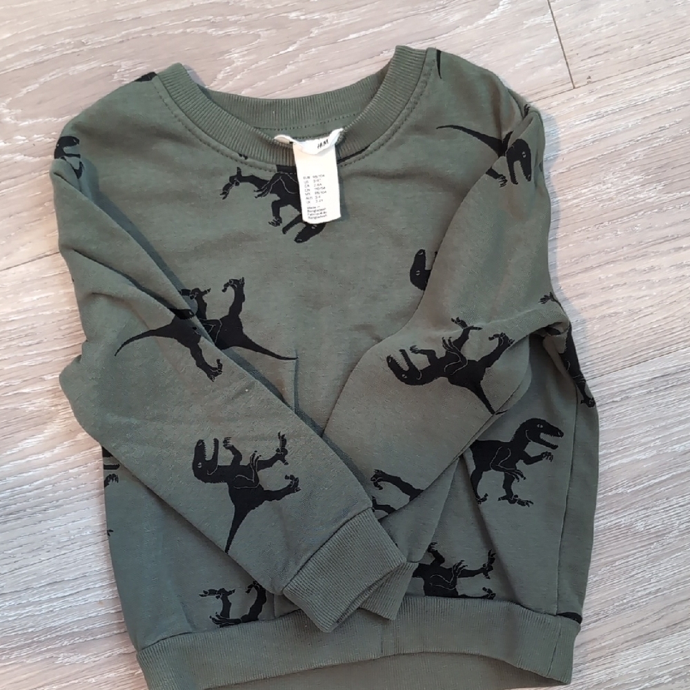 H&M Green Dinosaur Print Sweatshirt (3/4T)